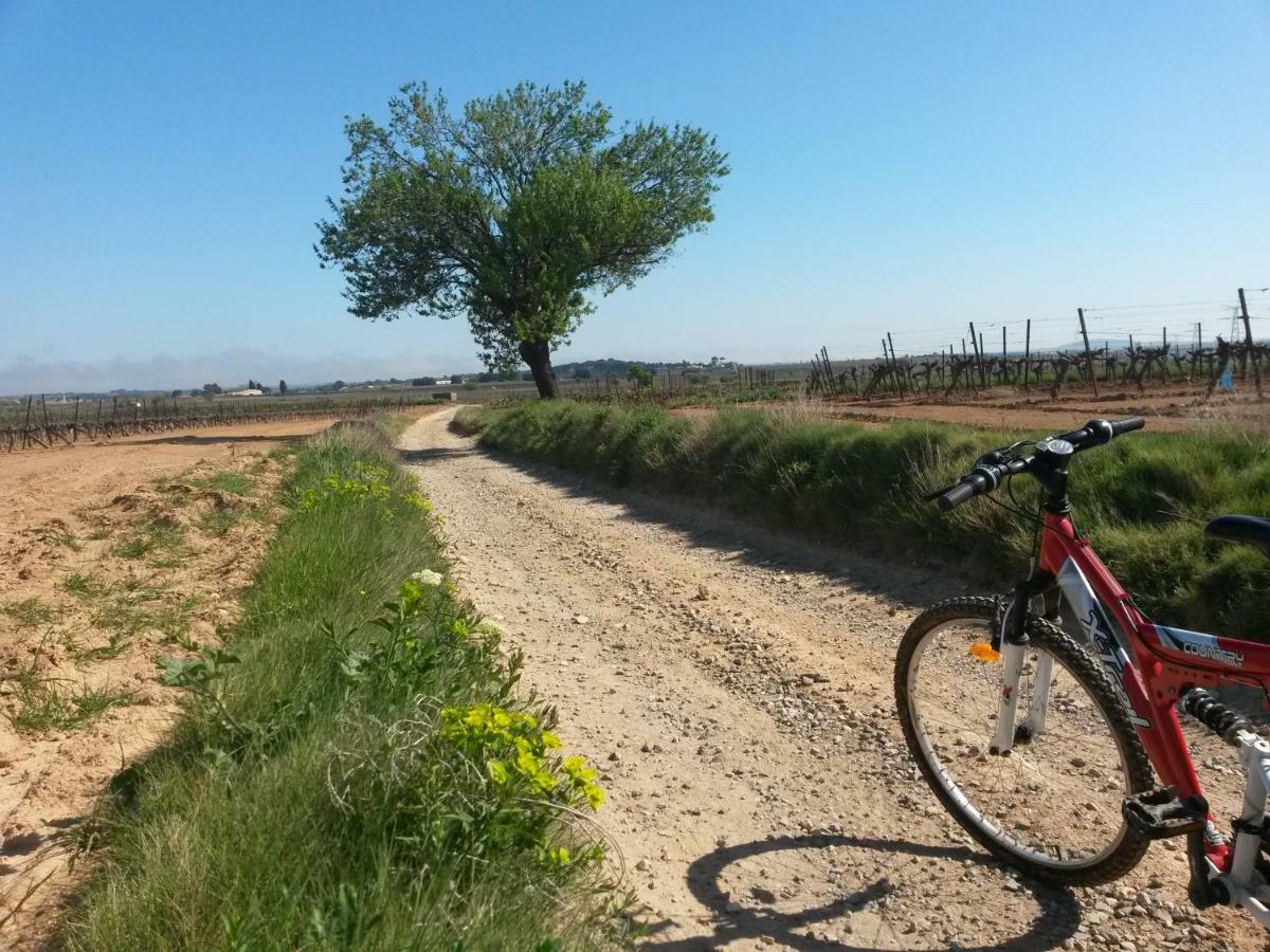 Gites "Tout Au Sud De La France" Pomerols Экстерьер фото